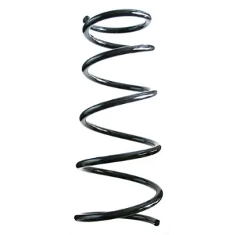 Ressort de suspension SPIDAN 85554