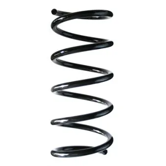 Ressort de suspension SPIDAN 85560