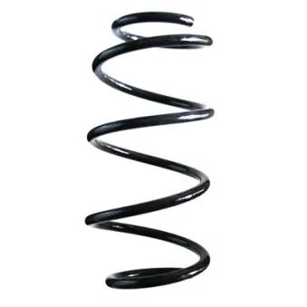 Ressort de suspension SPIDAN 85565