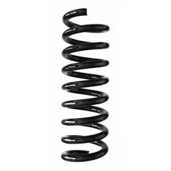 Ressort de suspension SPIDAN 85599
