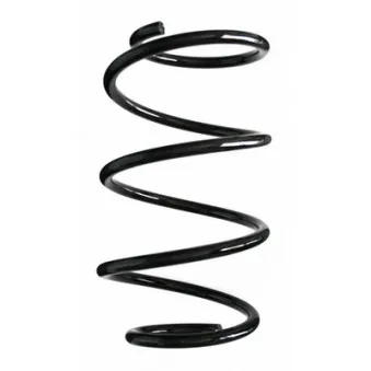 Ressort de suspension SPIDAN 85600