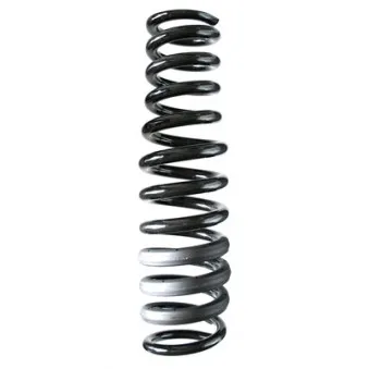 Ressort de suspension SPIDAN 85602