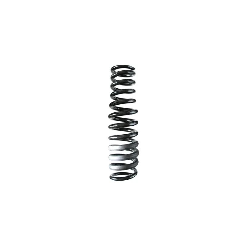 Ressort de suspension SPIDAN 85602