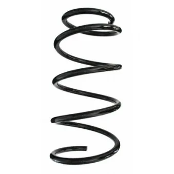 Ressort de suspension SPIDAN 85616