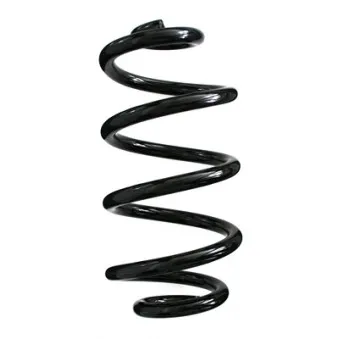 Ressort de suspension SPIDAN 85621