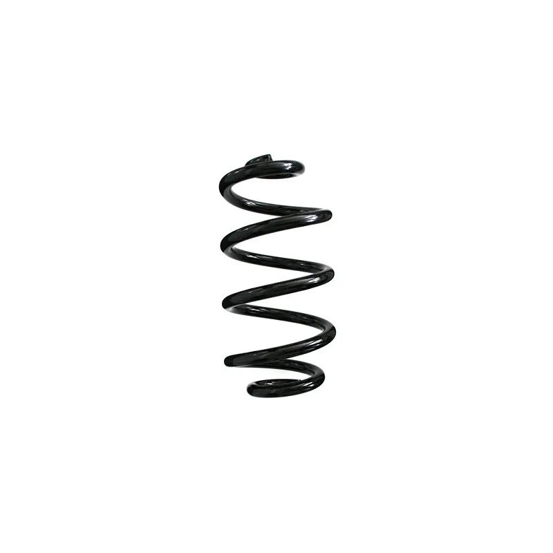 Ressort de suspension SPIDAN 85621