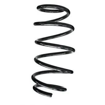 Ressort de suspension SPIDAN 85624