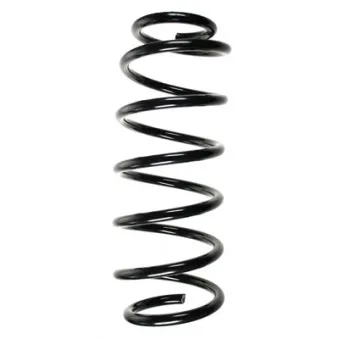 Ressort de suspension SPIDAN 85625