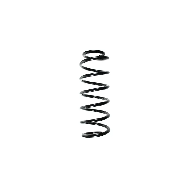 Ressort de suspension SPIDAN 85626