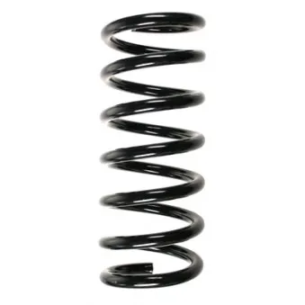 Ressort de suspension SPIDAN 85627