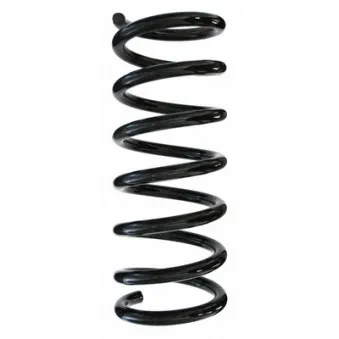 Ressort de suspension SPIDAN 85628