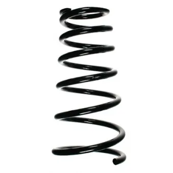 Ressort de suspension SPIDAN 85646