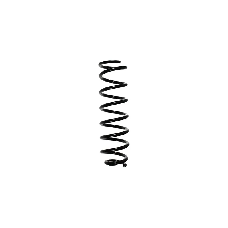 Ressort de suspension SPIDAN 85650