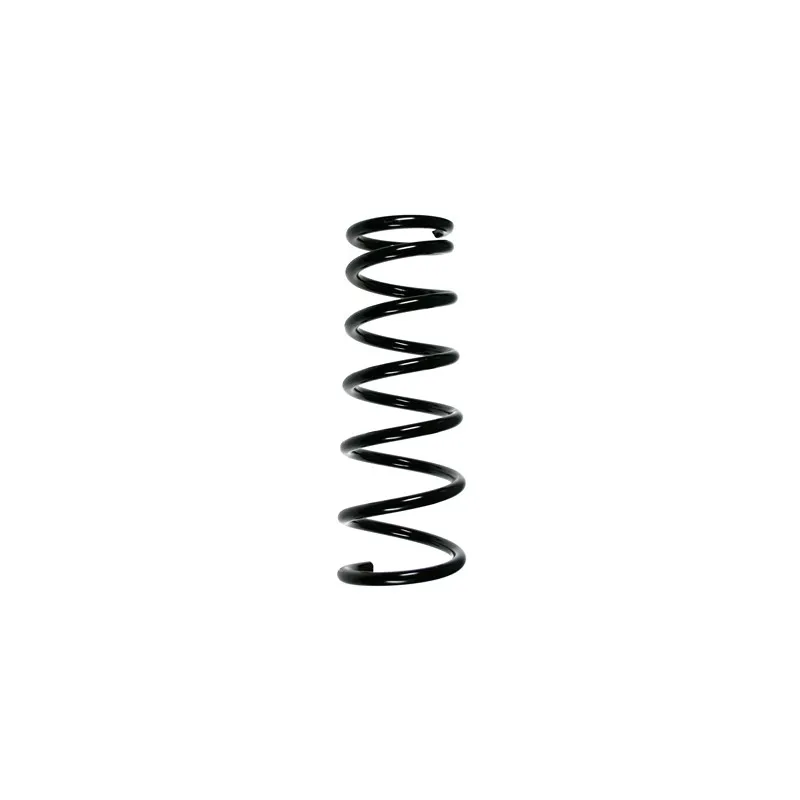 Ressort de suspension SPIDAN 85668