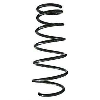 Ressort de suspension SPIDAN 85681