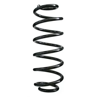 Ressort de suspension SPIDAN 85688