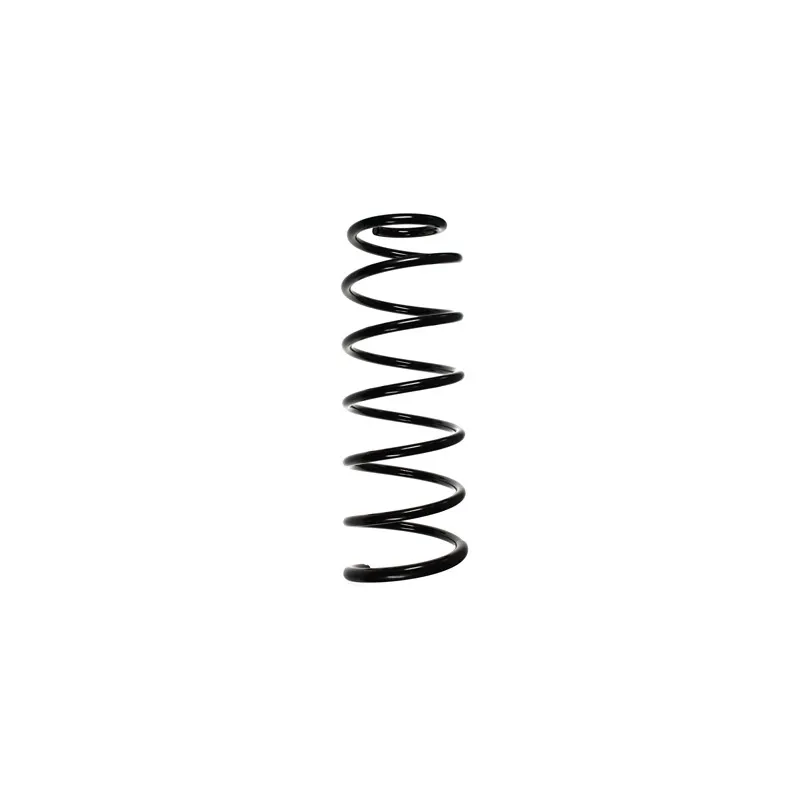 Ressort de suspension SPIDAN 85699