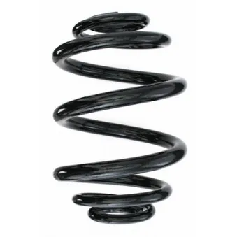 Ressort de suspension SPIDAN 85711