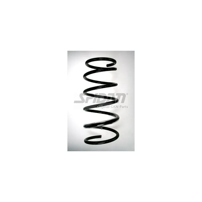 Ressort de suspension SPIDAN 85717