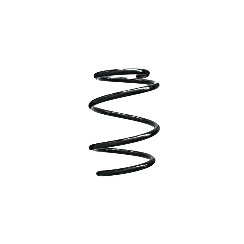 Ressort de suspension SPIDAN 85730