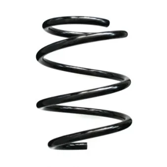 Ressort de suspension SPIDAN 85734