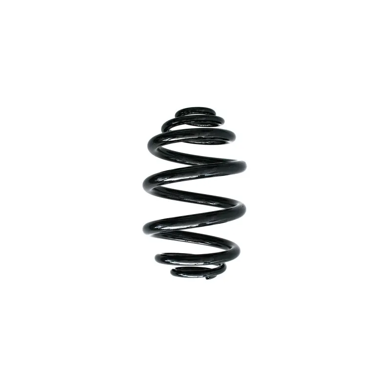 Ressort de suspension SPIDAN 85735