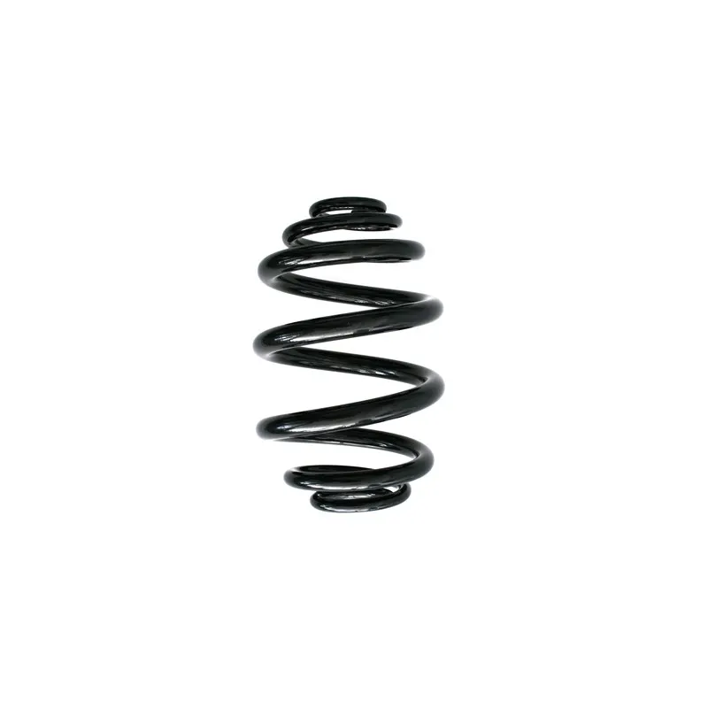 Ressort de suspension SPIDAN 85736