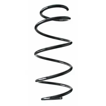 Ressort de suspension SPIDAN 85738