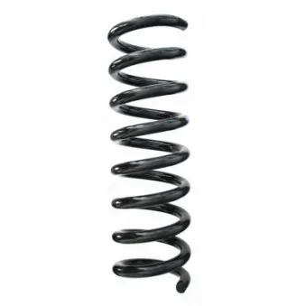 Ressort de suspension SPIDAN 85745