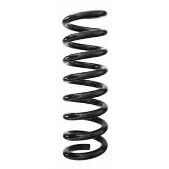 Ressort de suspension SPIDAN 85746