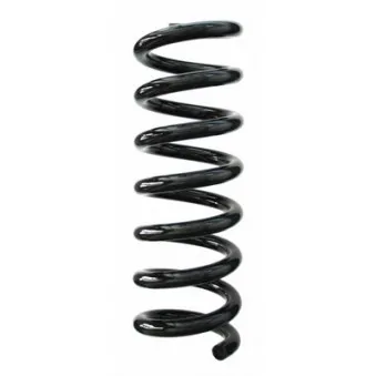 Ressort de suspension SPIDAN 85747