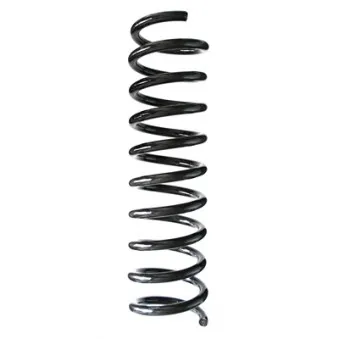 Ressort de suspension SPIDAN 85764