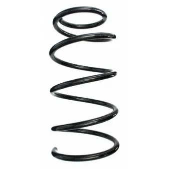 Ressort de suspension SPIDAN 85804
