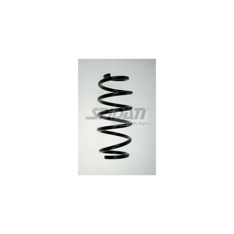Ressort de suspension SPIDAN 85821