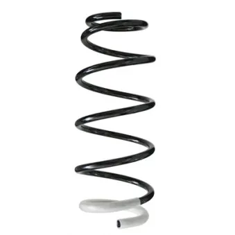 Ressort de suspension SPIDAN 85826