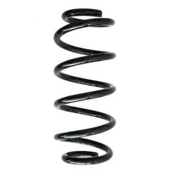 Ressort de suspension SPIDAN 85832