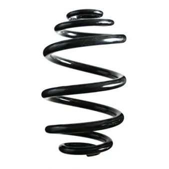 Ressort de suspension SPIDAN 85841
