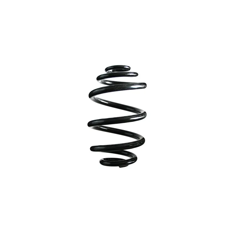Ressort de suspension SPIDAN 85841