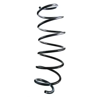 Ressort de suspension SPIDAN 85844