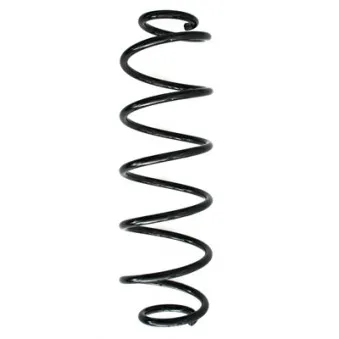 Ressort de suspension SPIDAN 85845