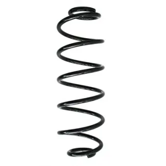 Ressort de suspension SPIDAN 85846