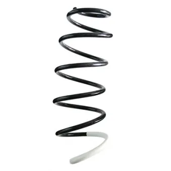 Ressort de suspension SPIDAN 85847