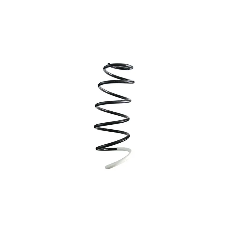 Ressort de suspension SPIDAN 85847