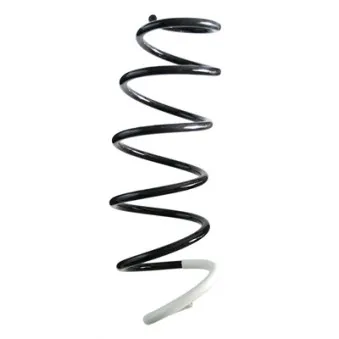 Ressort de suspension SPIDAN 85848