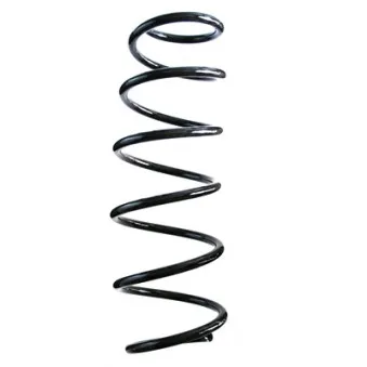 Ressort de suspension SPIDAN 85853