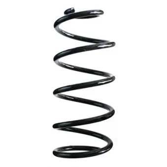 Ressort de suspension SPIDAN 85855