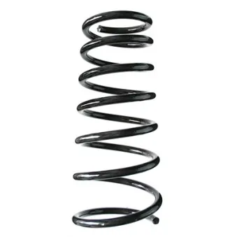 Ressort de suspension SPIDAN 85857