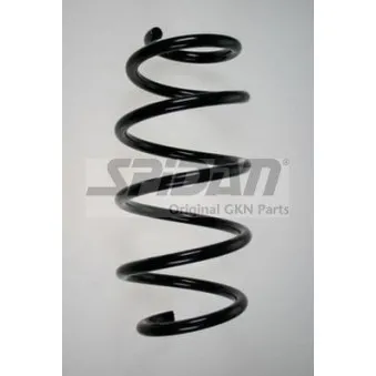 Ressort de suspension SPIDAN 85863