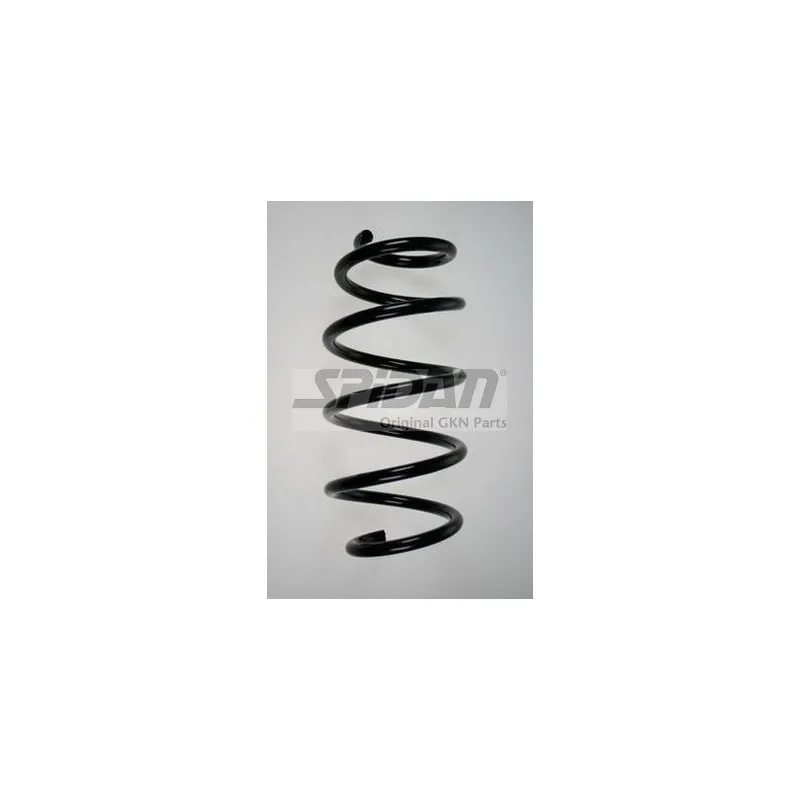 Ressort de suspension SPIDAN 85863
