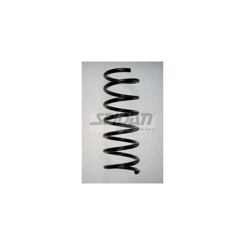 Ressort de suspension SPIDAN 85880